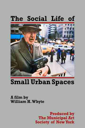 The Social Life of Small Urban Spaces Poster