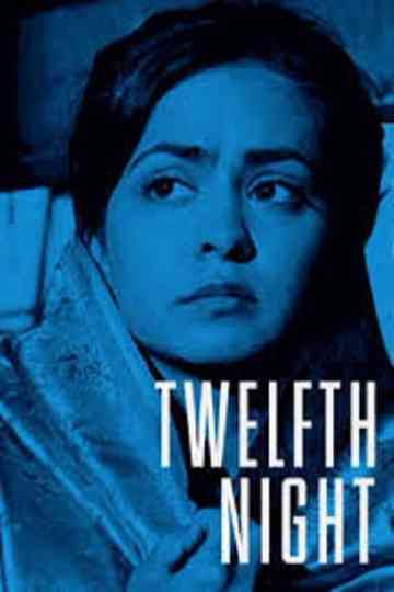 Twelfth Night, or What You Will