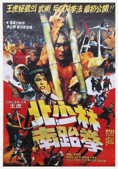 North Shaolin South Taekwon Poster