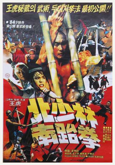 North Shaolin South Taekwon Poster