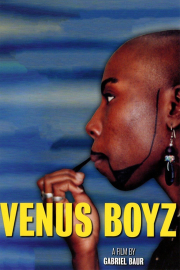 Venus Boyz Poster