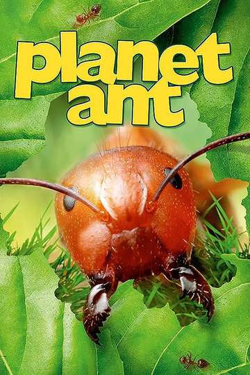 Planet Ant Life Inside The Colony Poster