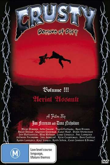Crusty Demons of Dirt 3 Aerial Assault Poster