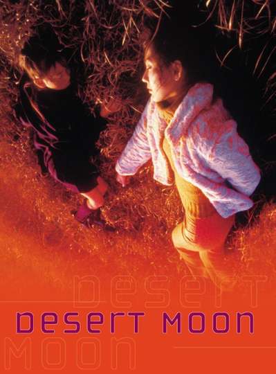 Desert Moon Poster