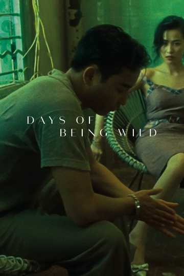 Days of Being Wild Poster