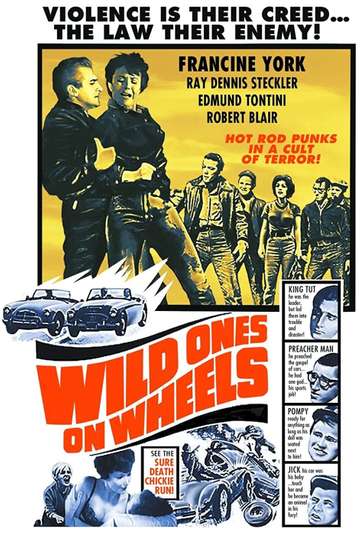 Wild Ones on Wheels Poster