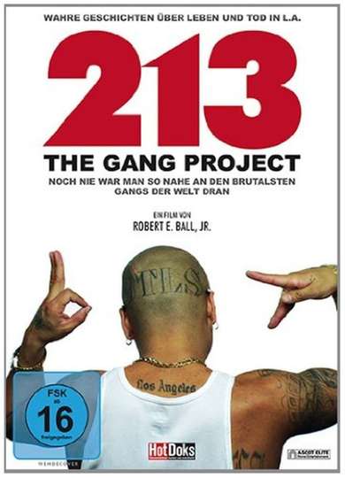 213 - The Gang Project Poster
