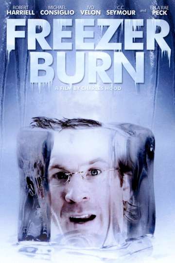 Freezer Burn Poster