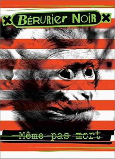 Bérurier Noir  Même pas mort