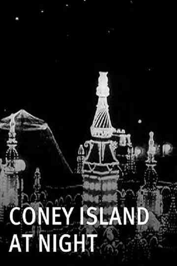 Coney Island at Night Poster