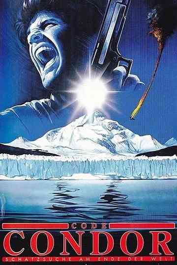 After the Condor Poster