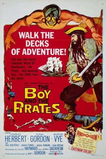 The Boy and the Pirates Poster