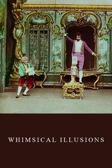 Whimsical Illusions