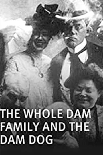 IB Dam and the Whole Dam Family Poster