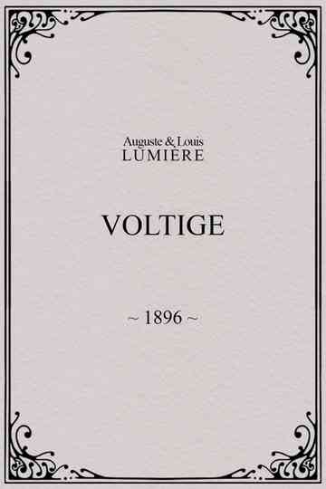 Voltige