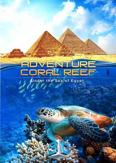 Adventure Coral Reef 3D  Under the Sea of Egypt poster