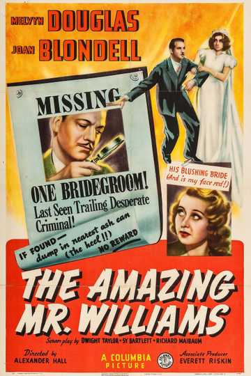 The Amazing Mr. Williams Poster
