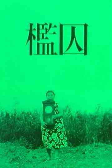 The Cage poster