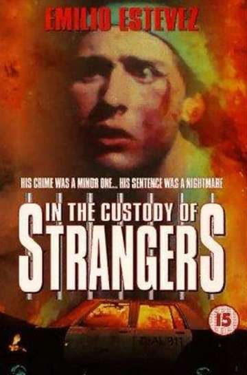 In the Custody of Strangers Poster