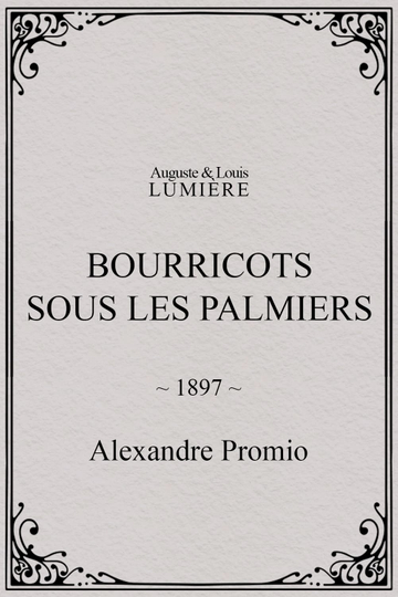 Bourricots sous les palmiers