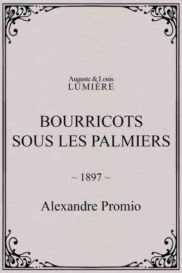 Bourricots sous les palmiers