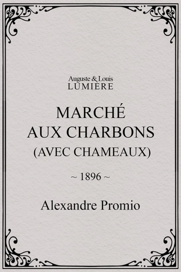 Marché aux charbons (avec chameaux)