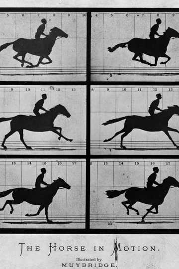 Sallie Gardner at a Gallop Poster