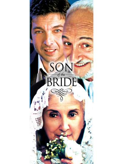 Son of the Bride Poster