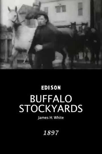 Buffalo Stockyards