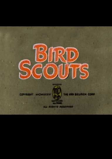 Bird Scouts