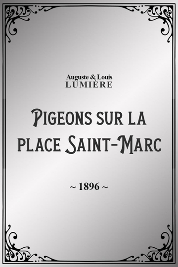 Pigeons sur la place SaintMarc