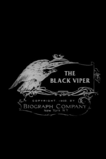 The Black Viper