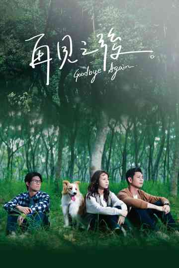 Goodbye Again Poster