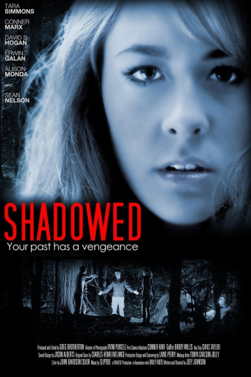 Shadowed Poster