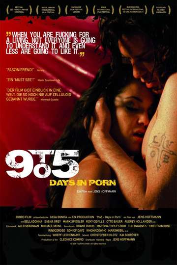 9to5: Days in Porn Poster