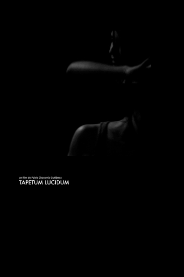 Tapetum Lucidum