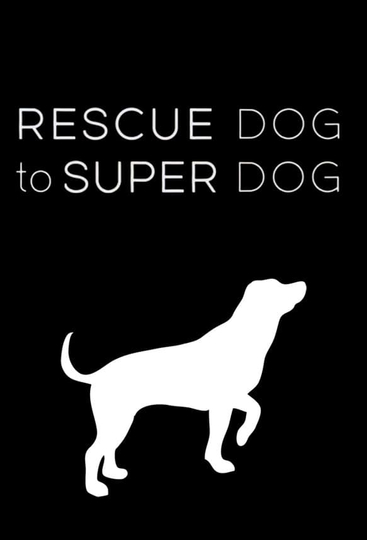 Rescue Dog to Super Dog