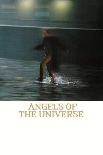 Angels of the Universe Poster