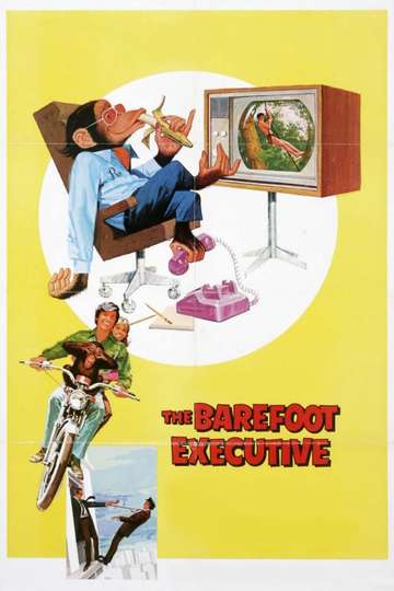 The Barefoot Executive Poster