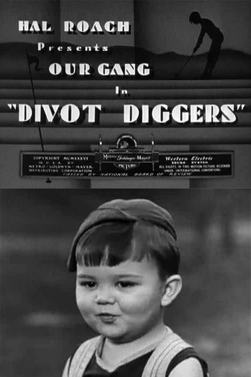 Divot Diggers Poster