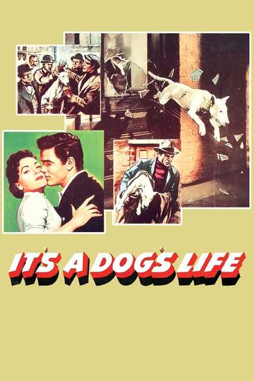 Its a Dogs Life Poster