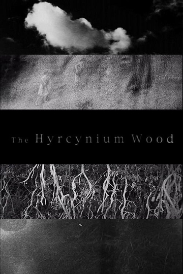 The Hyrcynium Wood