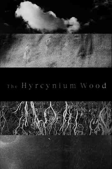 The Hyrcynium Wood Poster