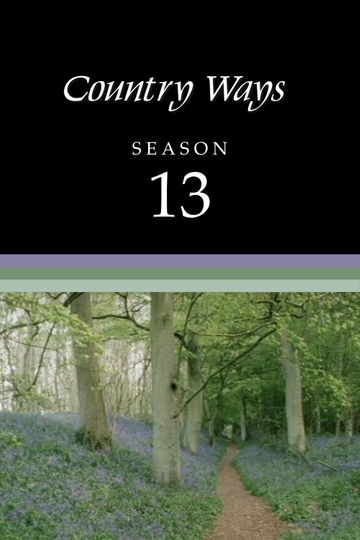 Season 13