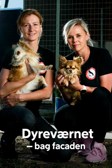 Dyreværnet - bag facaden