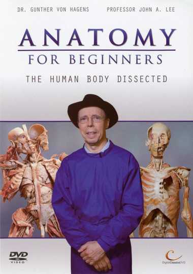 Anatomy for Beginners Poster