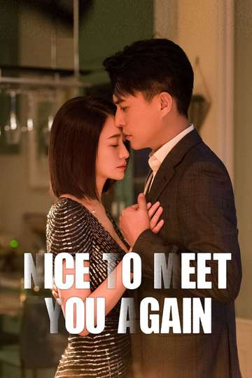 Nice To Meet You Again Poster