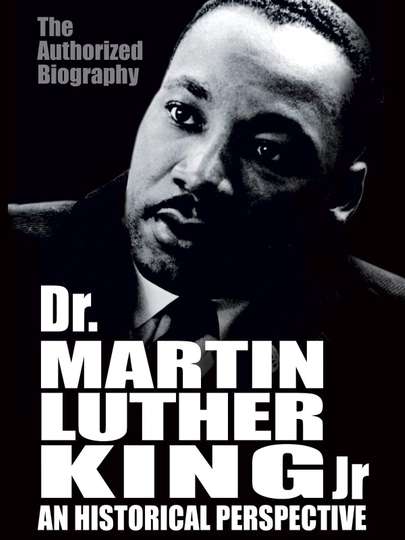 Dr Martin Luther King Jr A Historical Perspective Poster