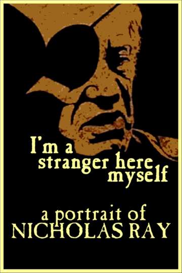 Im a Stranger Here Myself Poster