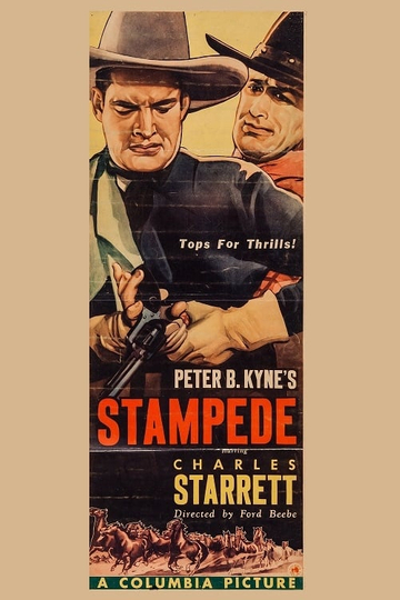 Stampede Poster